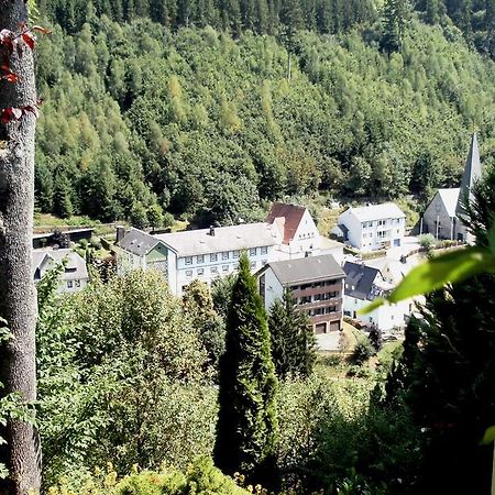 Gasthof Rodachtal Mit Gaestehaus Katharina Schwarzenbach am Wald Luaran gambar