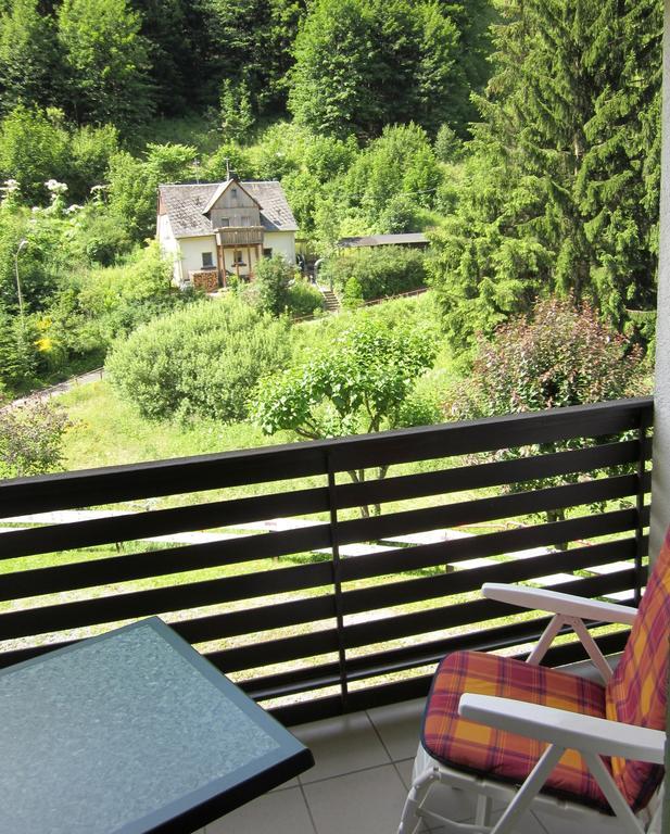 Gasthof Rodachtal Mit Gaestehaus Katharina Schwarzenbach am Wald Bilik gambar