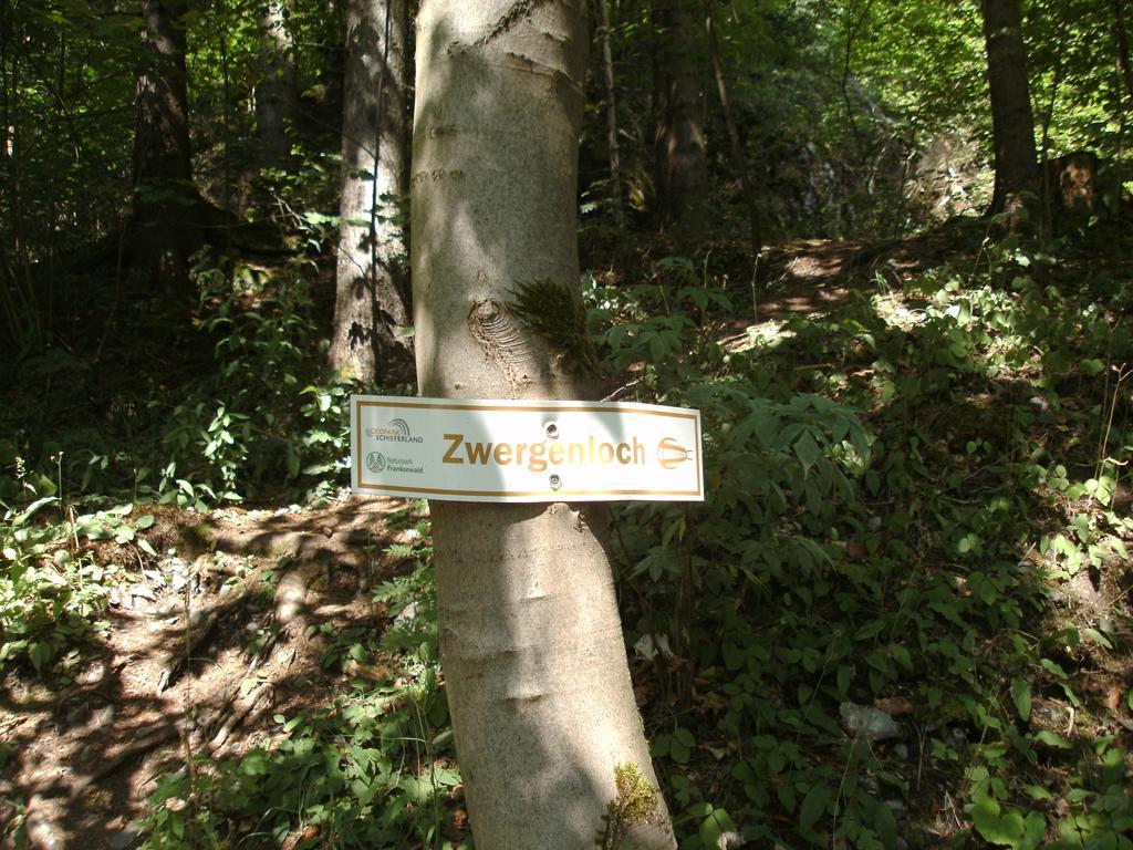 Gasthof Rodachtal Mit Gaestehaus Katharina Schwarzenbach am Wald Luaran gambar